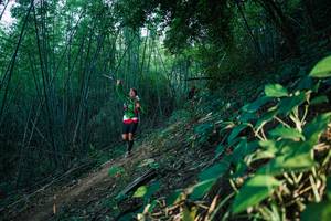 BIB: 
                            <button type="button" onclick="openModal(28125016)" class="btn btn-primary btn-sm float-right btn-popup" data-toggle="modal" data-target=".modal-high-quality">
                        <i class="fas fa-shopping-cart"></i> Add to Cart
                    </button>
                                            <button type="button" onclick="isThisMe(28125016, true)" class="btn btn-success btn-sm float-right btn-popup btn-isme hidden" data-toggle="tooltip" data-placement="bottom" title="นี่คือรูปของคุณใช่ไหม คลิกที่นี่เพื่อเอาเข้าอัลบั้ม">
                        <i class="fas fa-plus"></i> Add to album
                    </button>
                    <button type="button" onclick="isThisMe(28125016, false)" class="btn btn-warning btn-sm float-right btn-popup btn-isnotme hidden">
                        <i class="fas fa-ban"></i> Remove from album
                    </button>